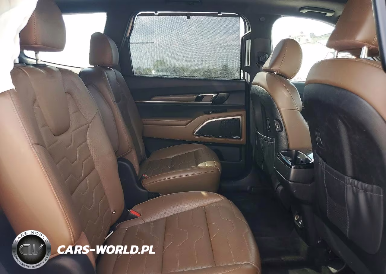 2020 Kia Telluride Sx VIN:5XYP5DHC6LG024372 - 11