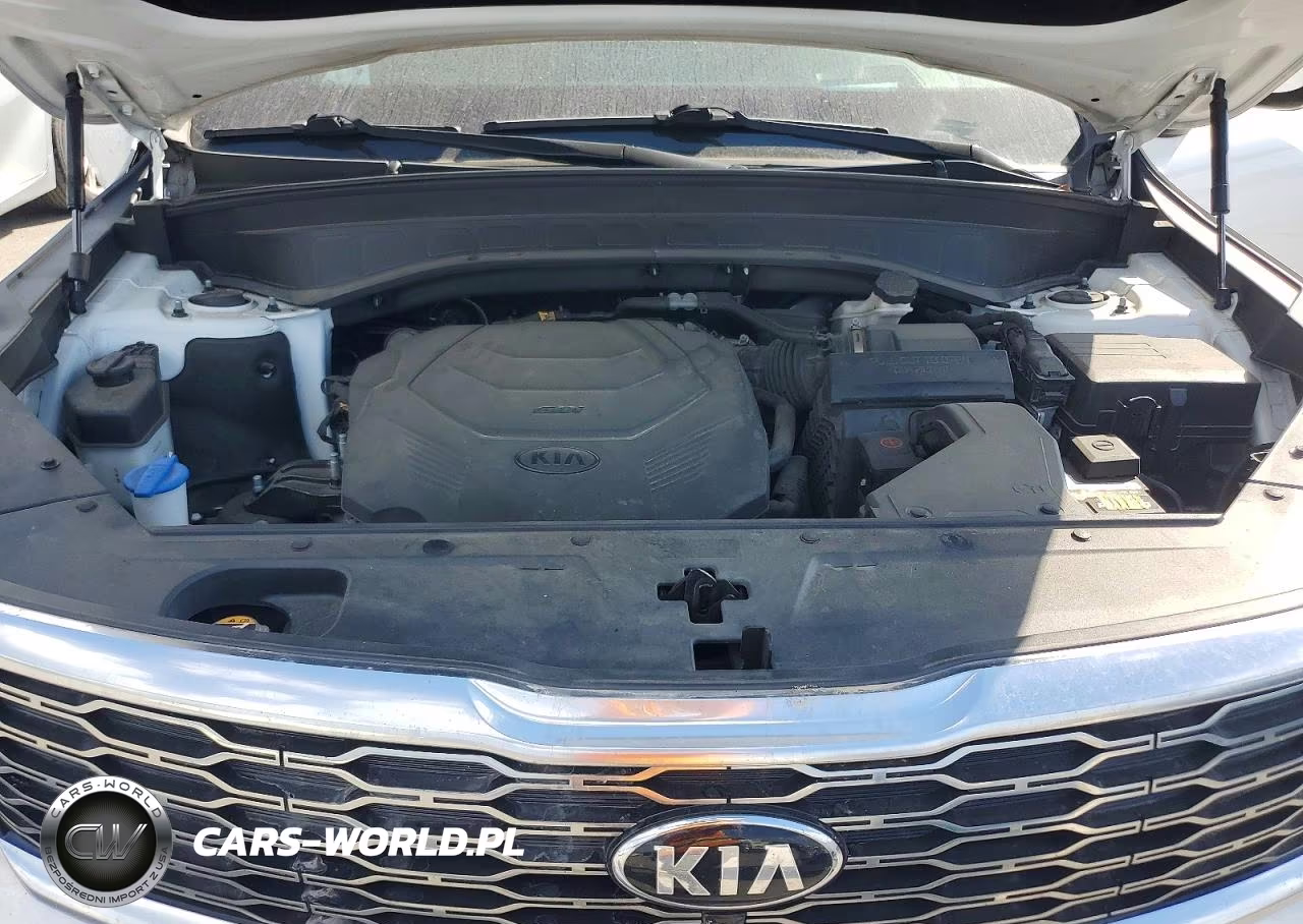 2020 Kia Telluride Sx VIN:5XYP5DHC6LG024372 - 12
