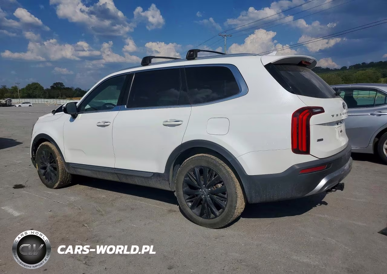 2020 Kia Telluride Sx VIN:5XYP5DHC6LG024372 - 2