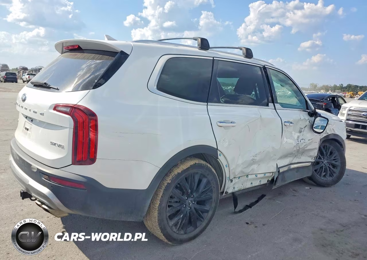 2020 Kia Telluride Sx VIN:5XYP5DHC6LG024372 - 3