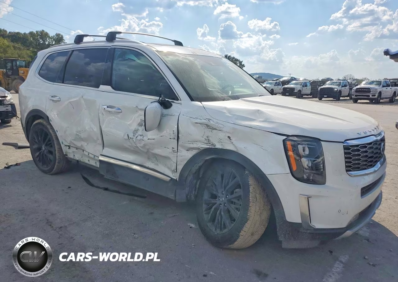 2020 Kia Telluride Sx VIN:5XYP5DHC6LG024372 - 4