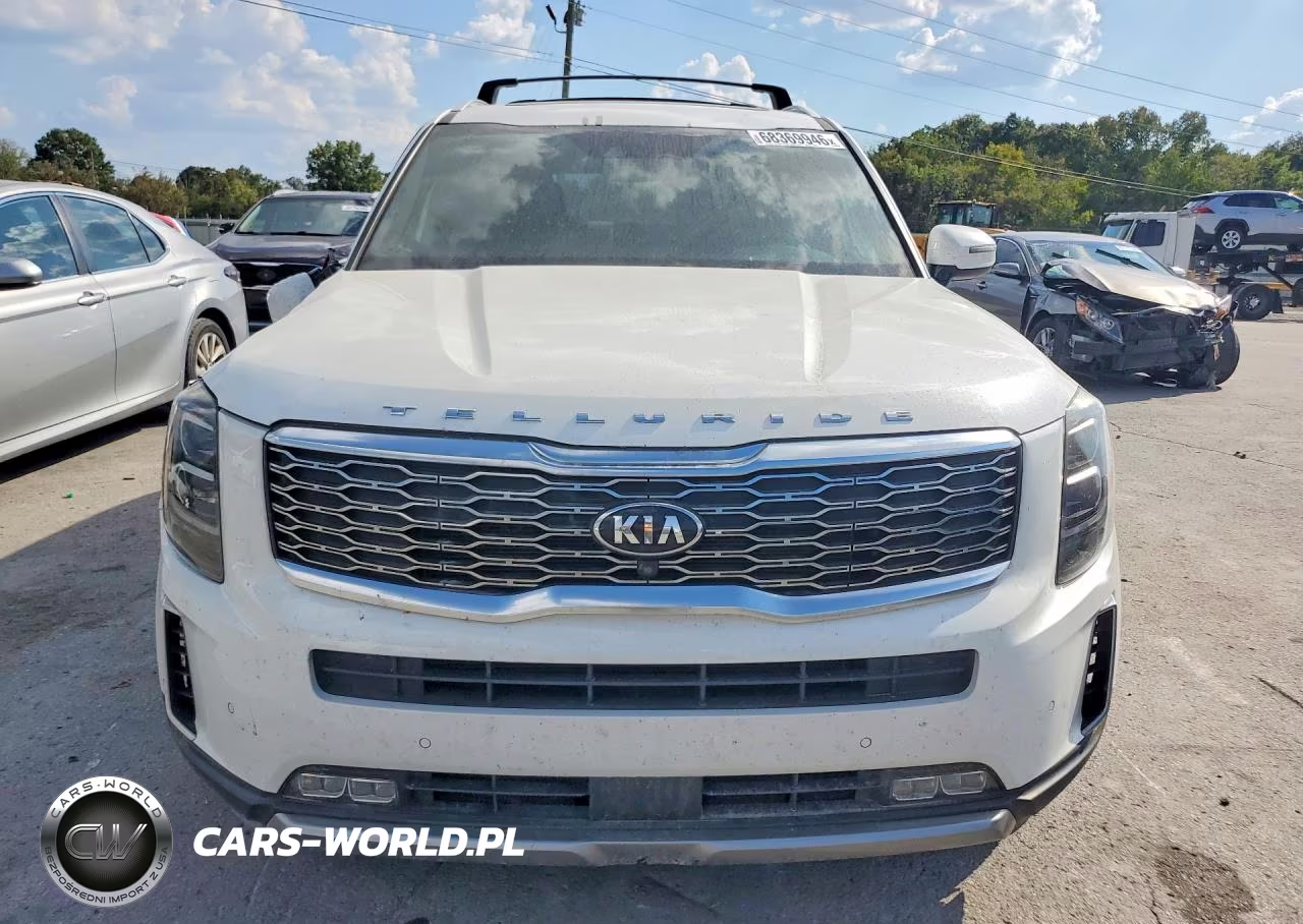 2020 Kia Telluride Sx VIN:5XYP5DHC6LG024372 - 5