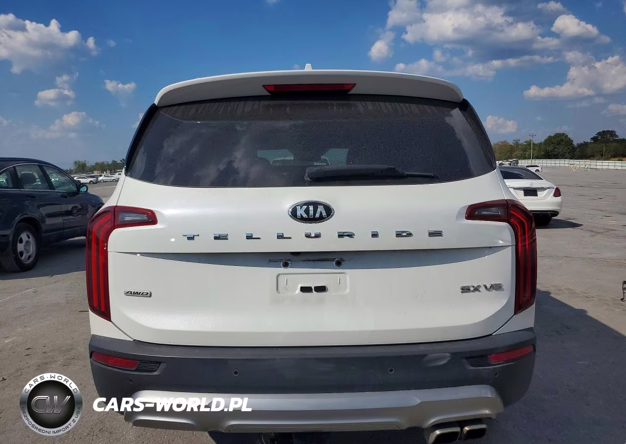 2020 Kia Telluride Sx VIN:5XYP5DHC6LG024372 - 6