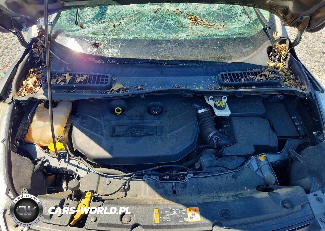 2014 Ford Escape Se VIN:1FMCU0G9XEUD36000 - 12