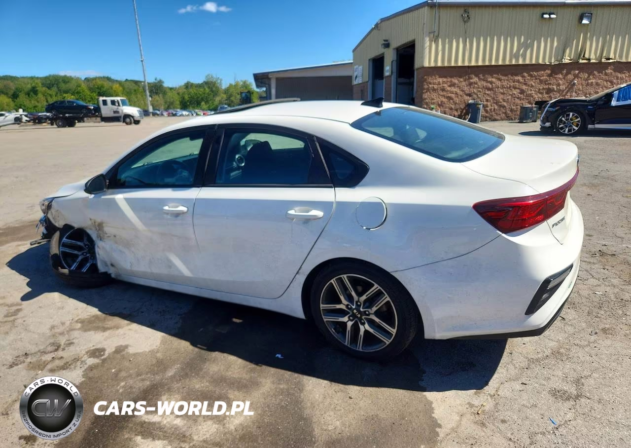 2019 Kia Forte S VIN:3KPF34AD6KE046260 - 2
