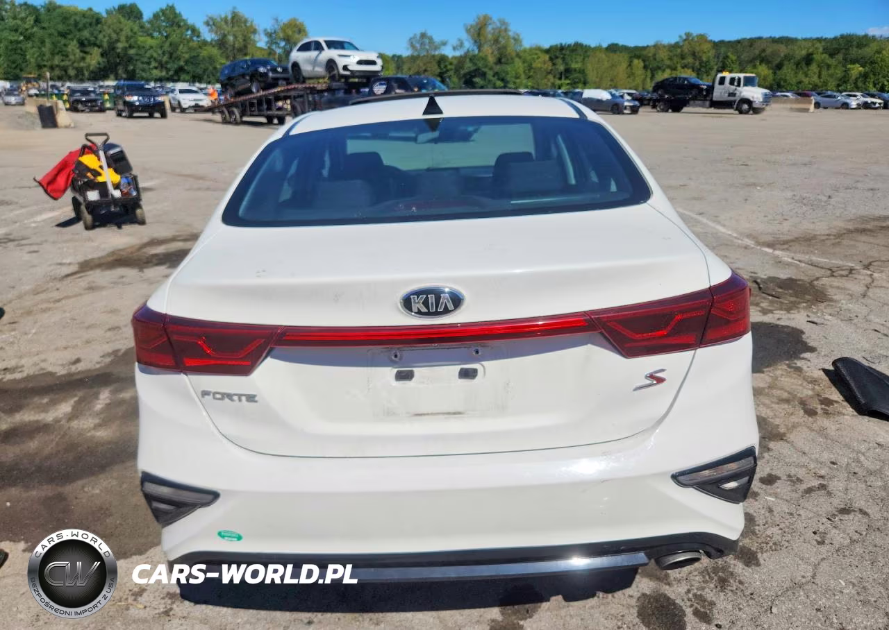 2019 Kia Forte S VIN:3KPF34AD6KE046260 - 6