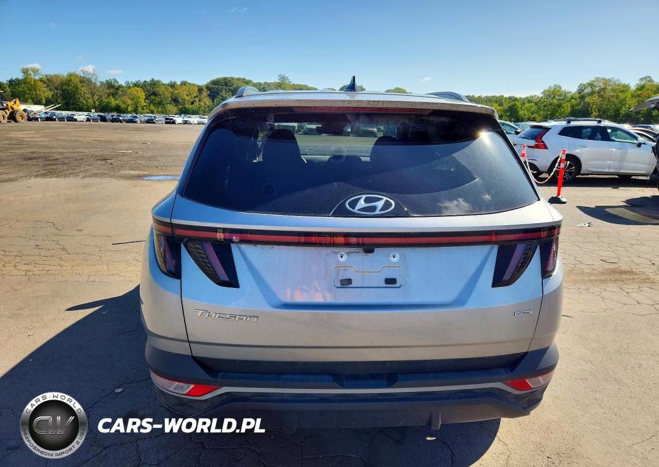 2024 Hyundai Tucson Sel VIN:5NMJFCDE3RH437837 - 6