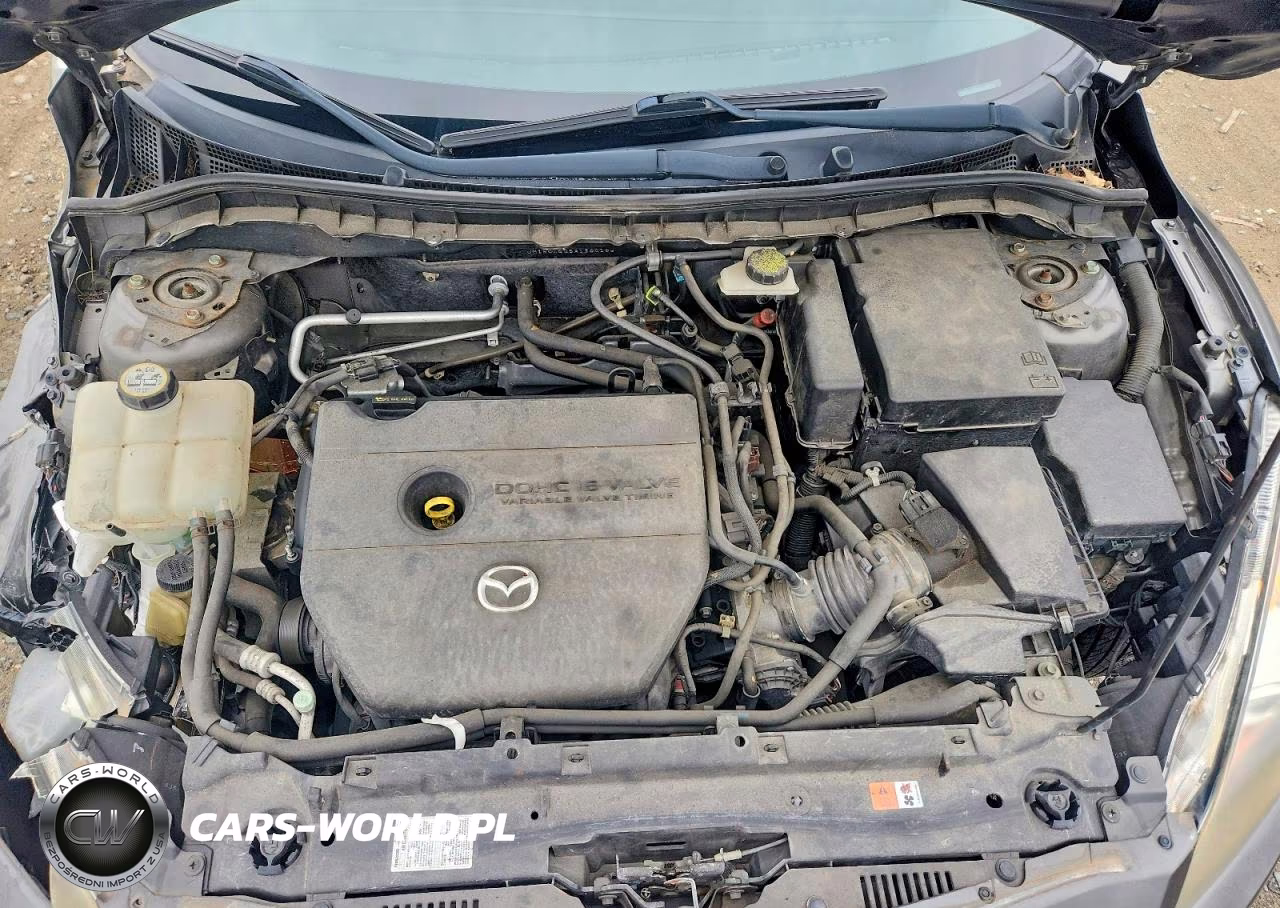 2010 Mazda 3 I VIN:JM1BL1SG5A1300189 - 11