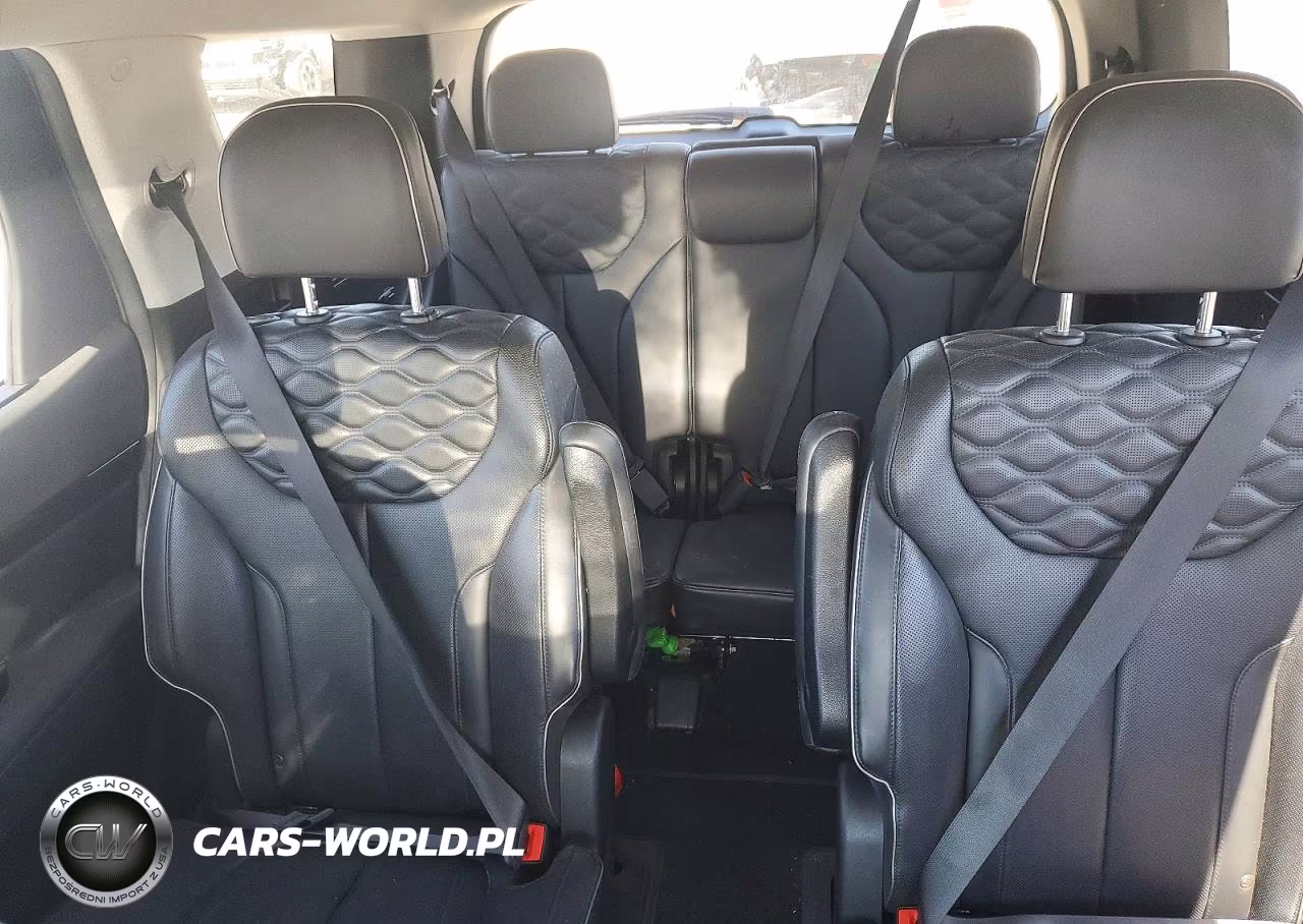 2021 Hyundai Palisade Limited VIN:KM8R54HE4MU270875 - 10