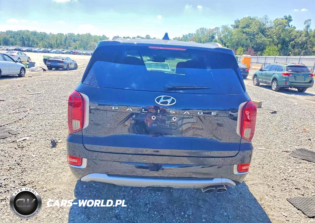 2021 Hyundai Palisade Limited VIN:KM8R54HE4MU270875 - 6