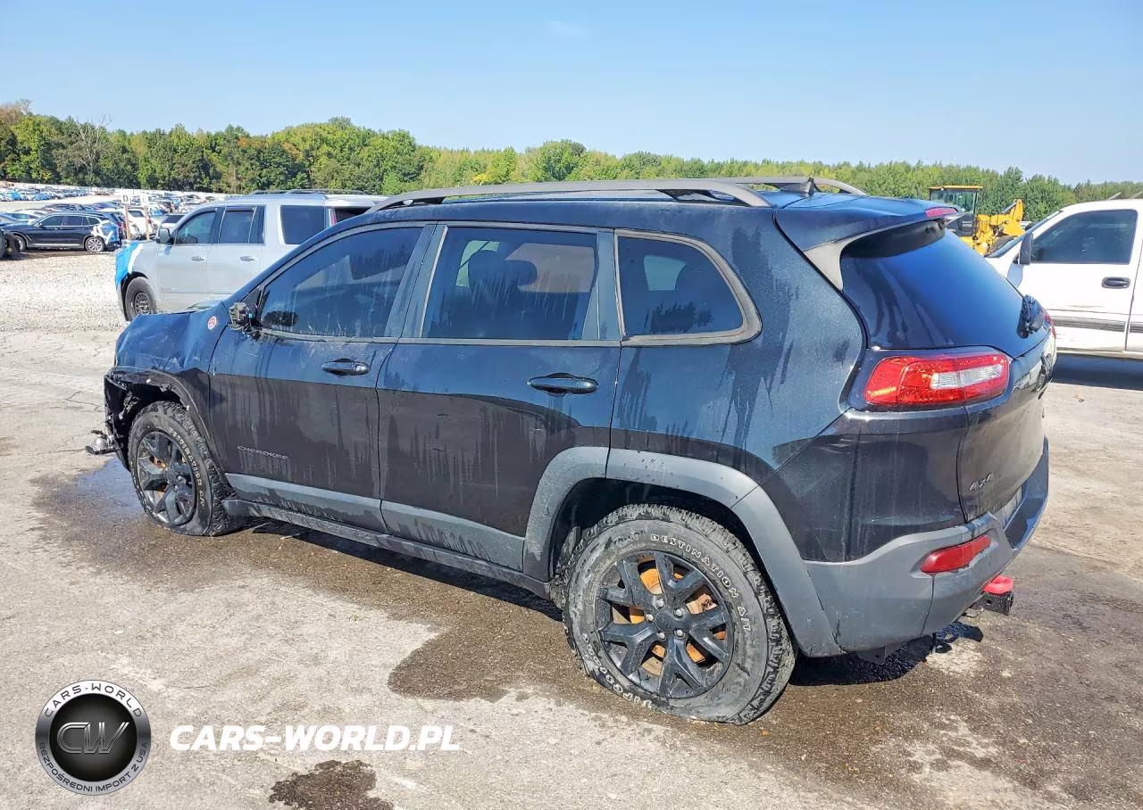 2016 Jeep Cherokee Trailhawk VIN:1C4PJMBSXGW194545 - 2