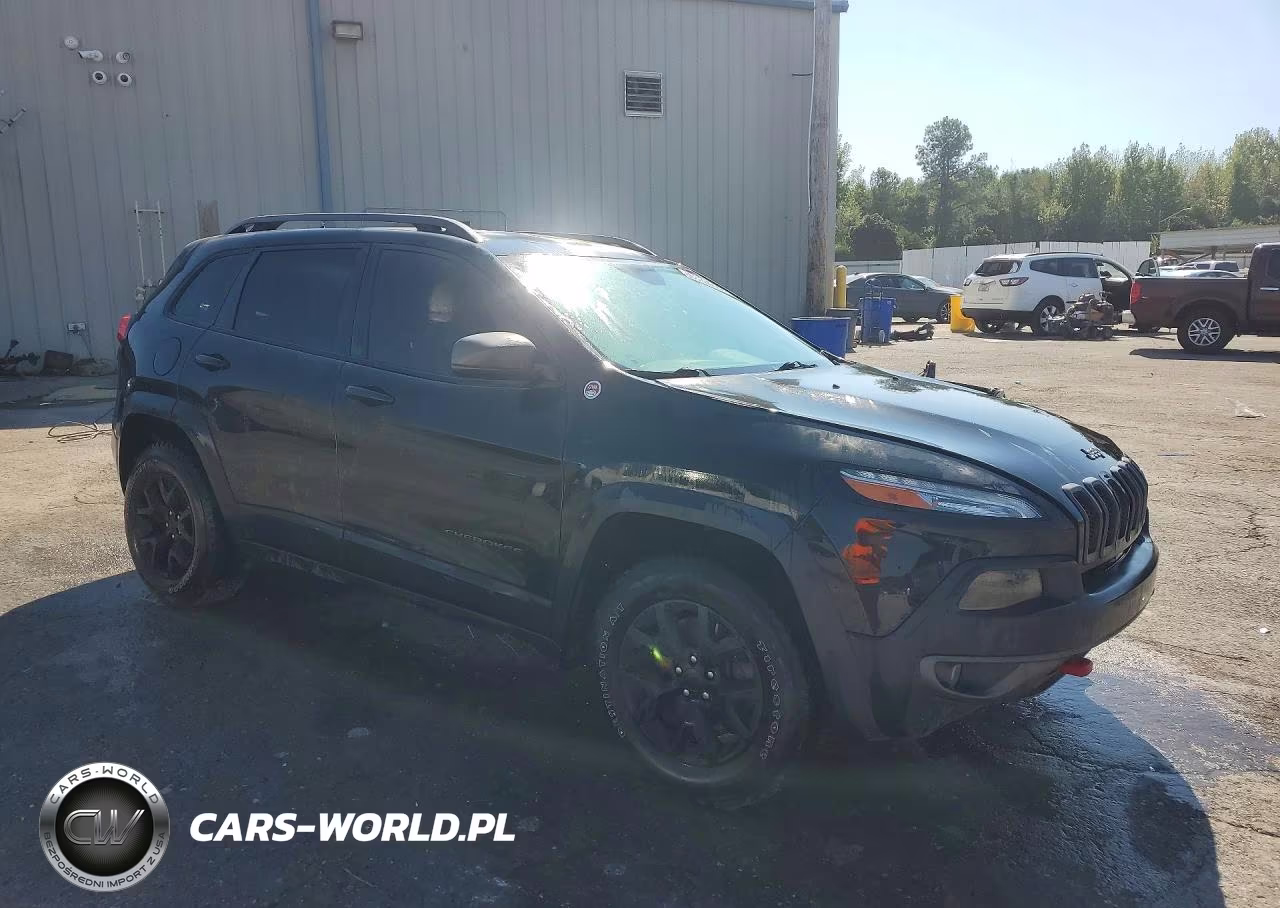 2016 Jeep Cherokee Trailhawk VIN:1C4PJMBSXGW194545 - 4