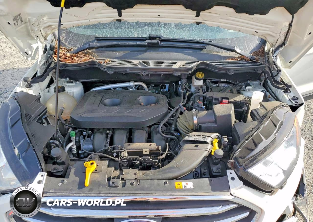 2019 Ford Ecosport Titanium VIN:MAJ6S3KL9KC281736 - 12