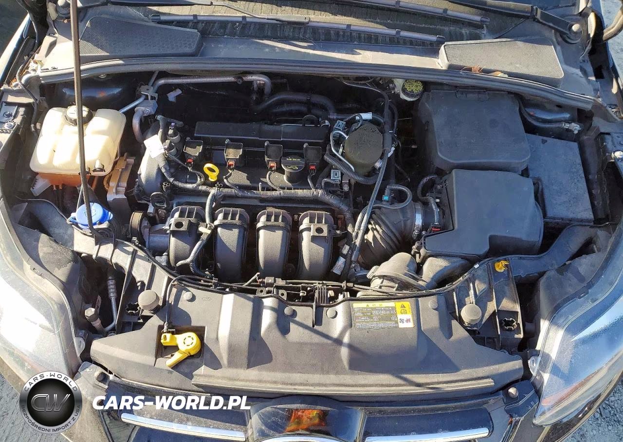 2013 Ford Focus Titanium VIN:1FADP3N28DL211286 - 11