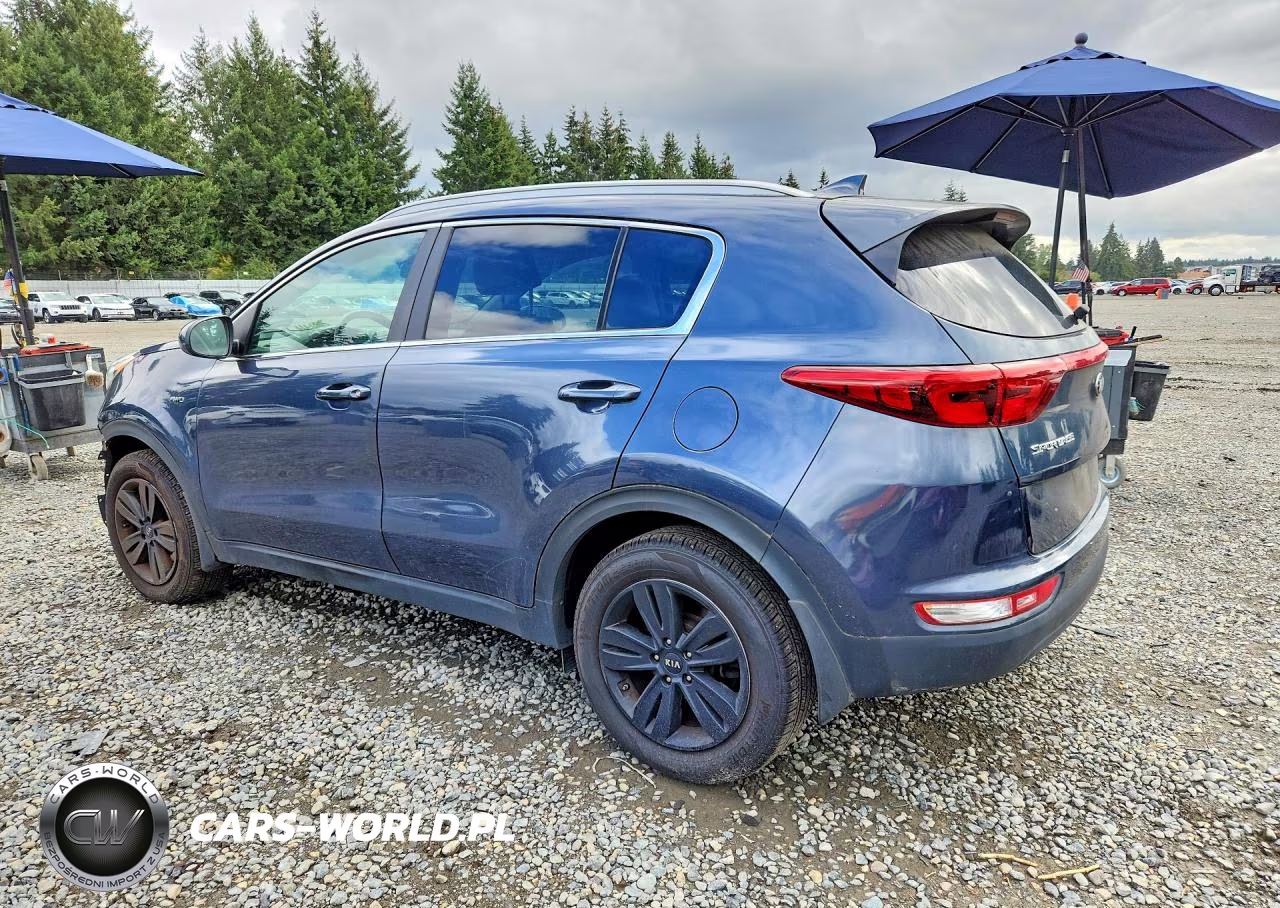 2019 Kia Sportage Lx VIN:KNDPMCAC4K7533489 - 2