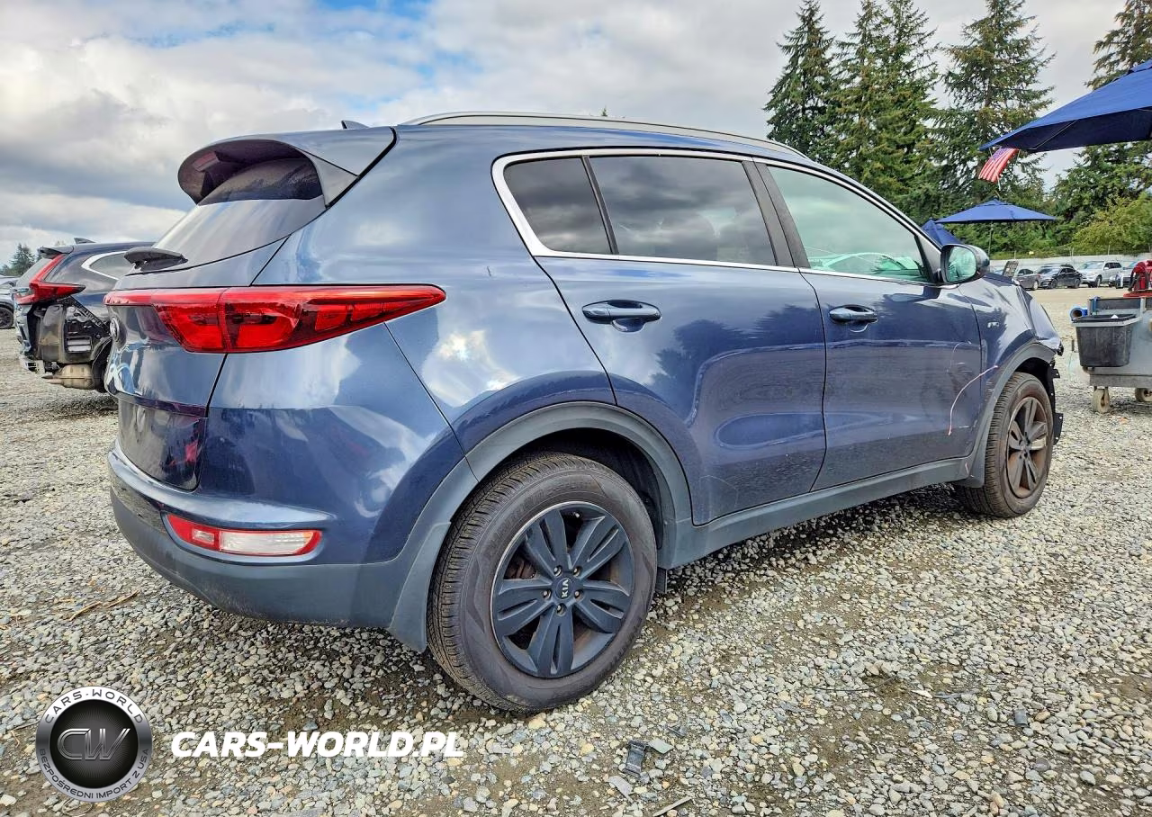 2019 Kia Sportage Lx VIN:KNDPMCAC4K7533489 - 3