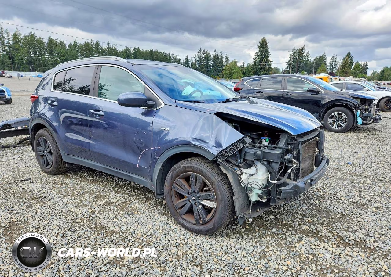 2019 Kia Sportage Lx VIN:KNDPMCAC4K7533489 - 4