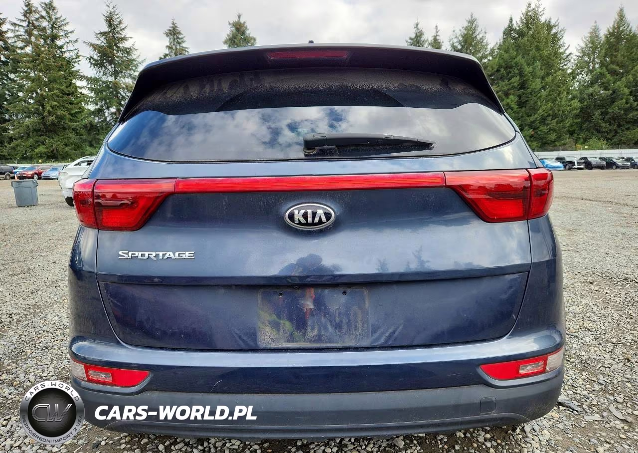 2019 Kia Sportage Lx VIN:KNDPMCAC4K7533489 - 6