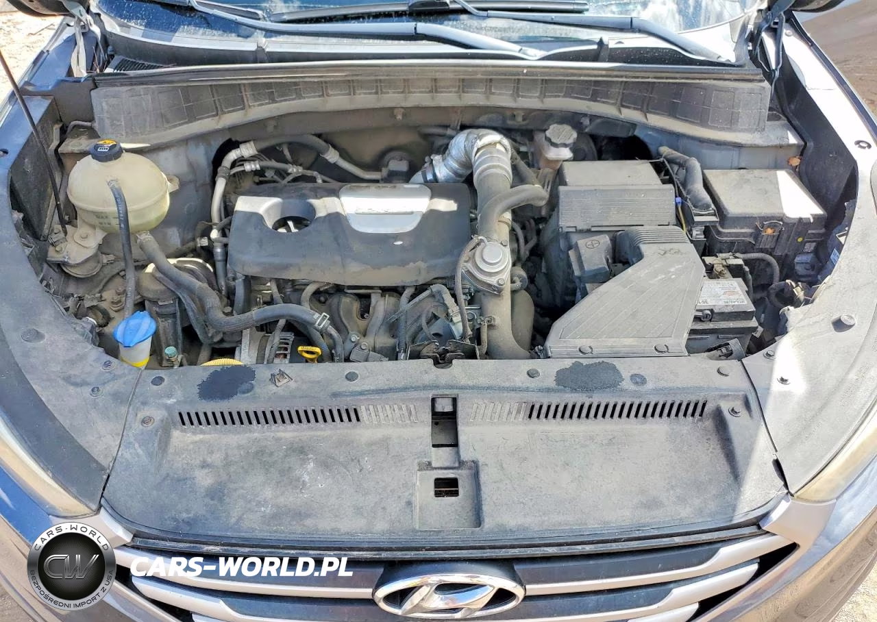 2017 Hyundai Tucson Sport VIN:KM8J3CA20HU310484 - 12