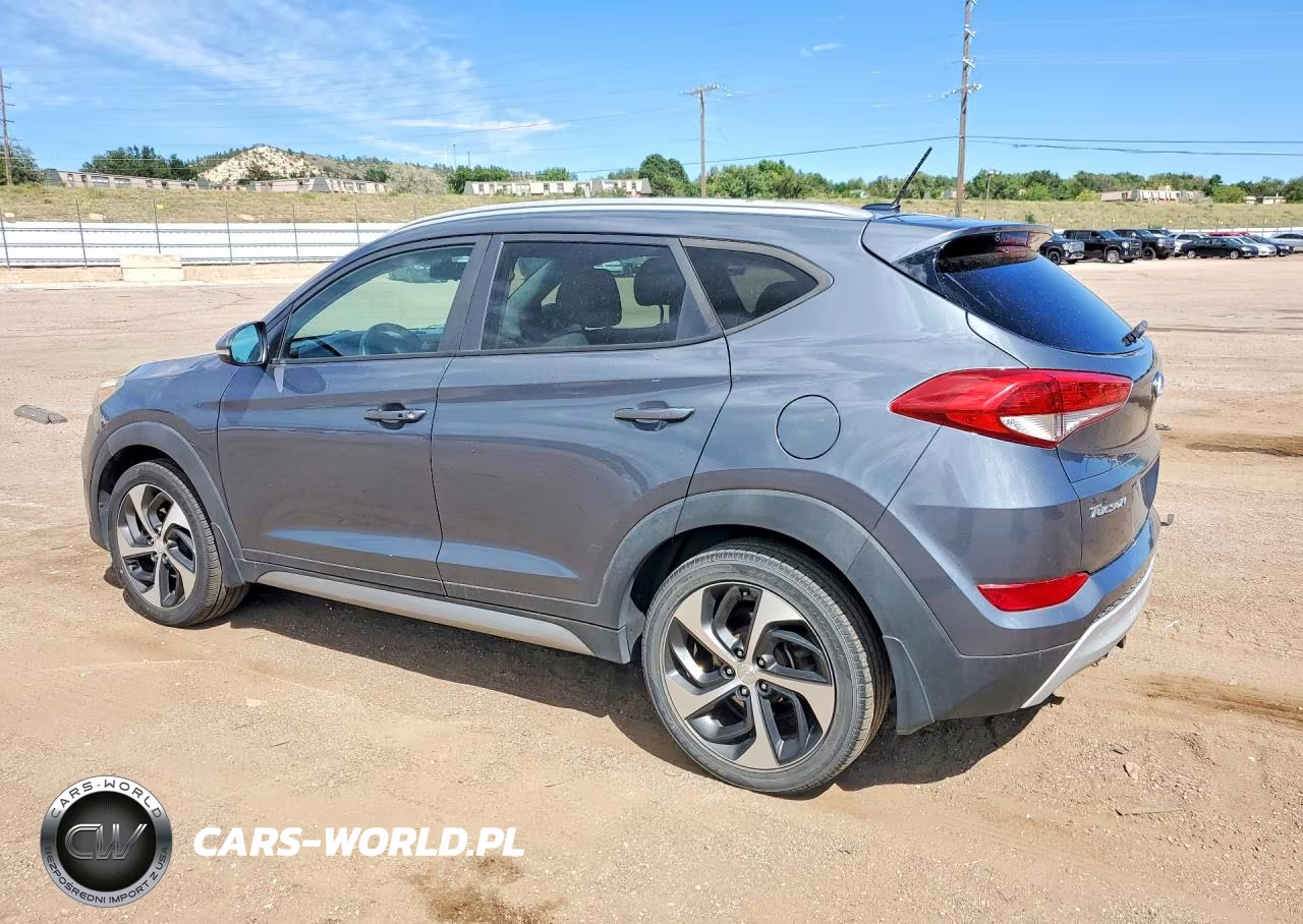 2017 Hyundai Tucson Sport VIN:KM8J3CA20HU310484 - 2