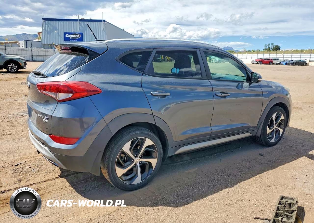 2017 Hyundai Tucson Sport VIN:KM8J3CA20HU310484 - 3
