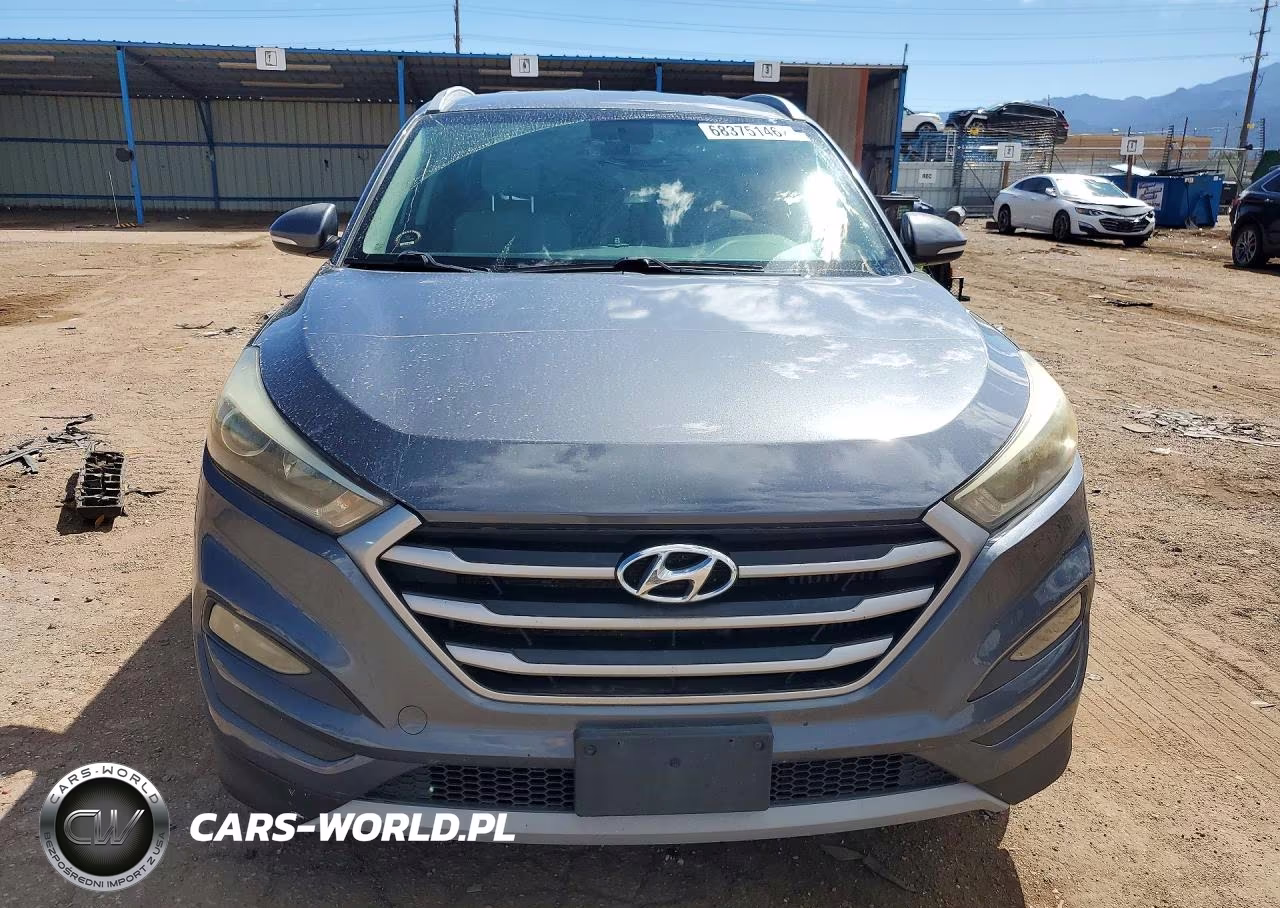 2017 Hyundai Tucson Sport VIN:KM8J3CA20HU310484 - 5