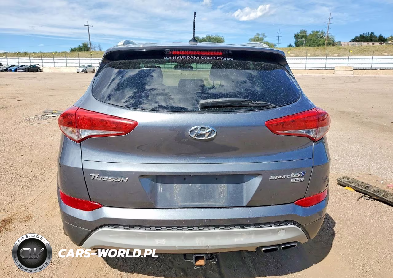 2017 Hyundai Tucson Sport VIN:KM8J3CA20HU310484 - 6