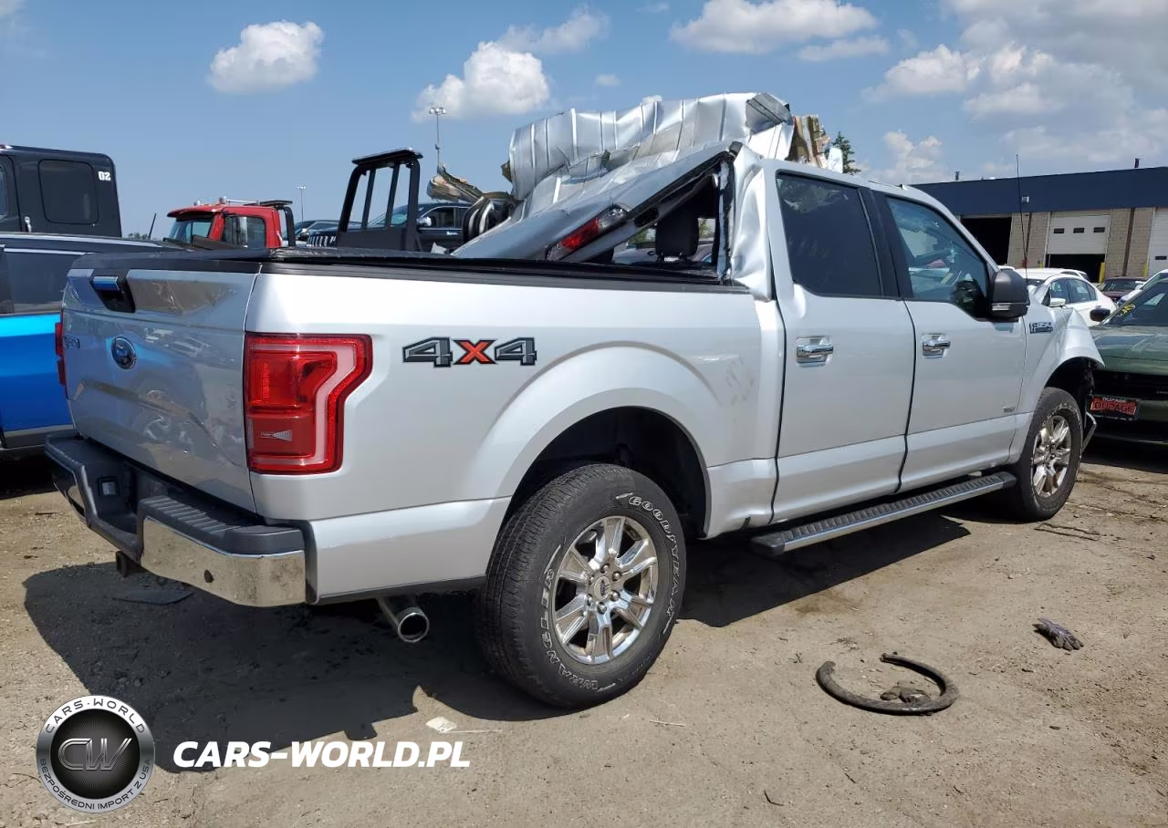 2016 Ford F150 Supercrew VIN:1FTEW1EG9GKD62441 - 3