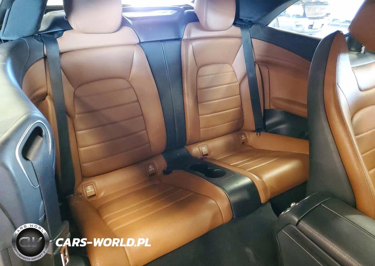 2020 Mercedes-Benz C 300 VIN:WDDWK8DB4LF973856 - 10