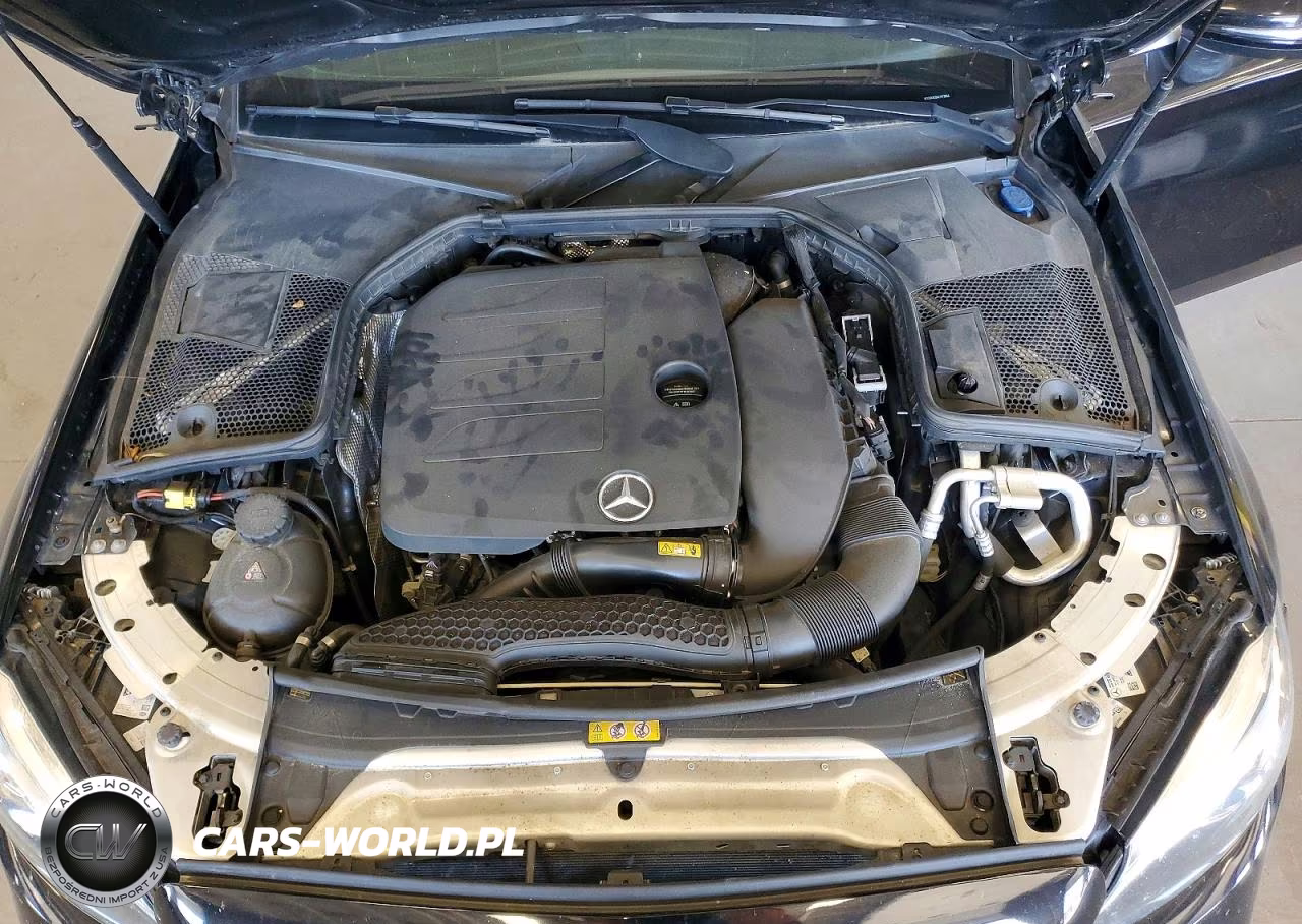 2020 Mercedes-Benz C 300 VIN:WDDWK8DB4LF973856 - 11