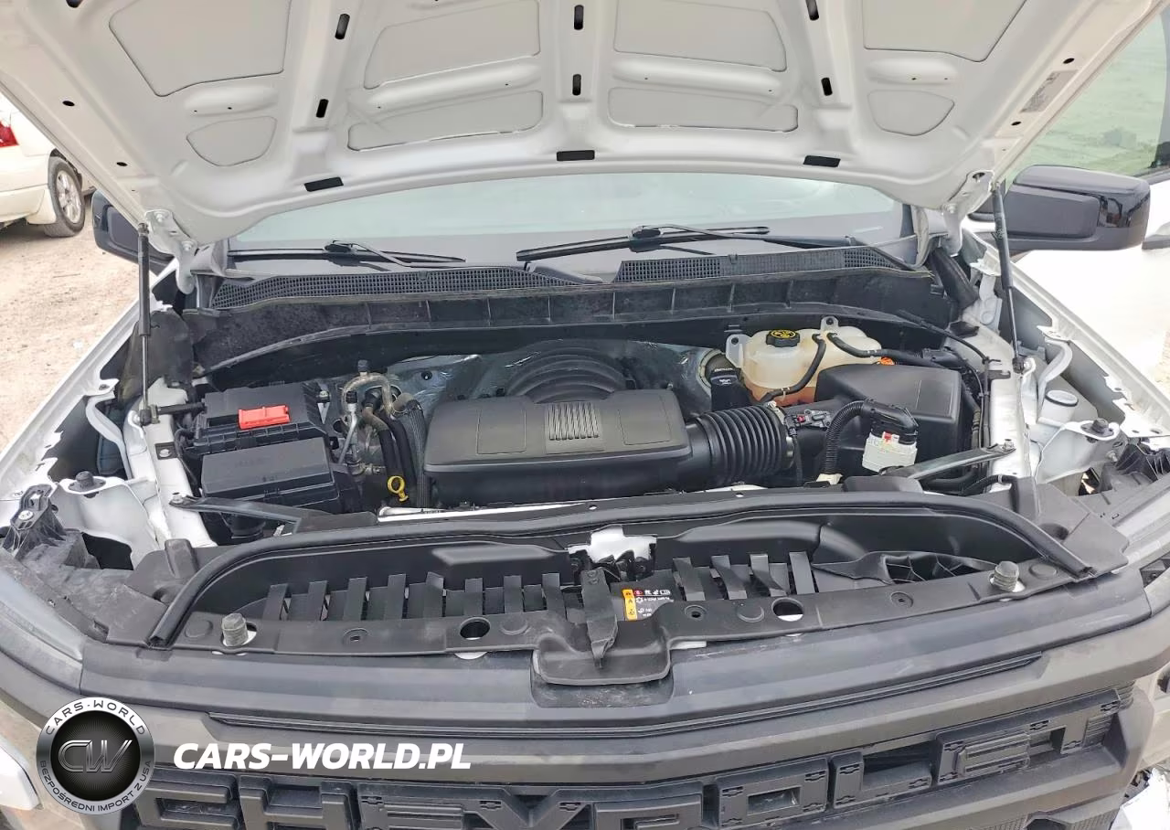 2023 Chevrolet Silverado K1500 VIN:1GCRDAED8PZ218206 - 11