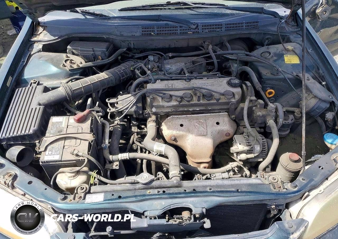 1998 Honda Accord Lx VIN:1HGCG5647WA196720 - 11