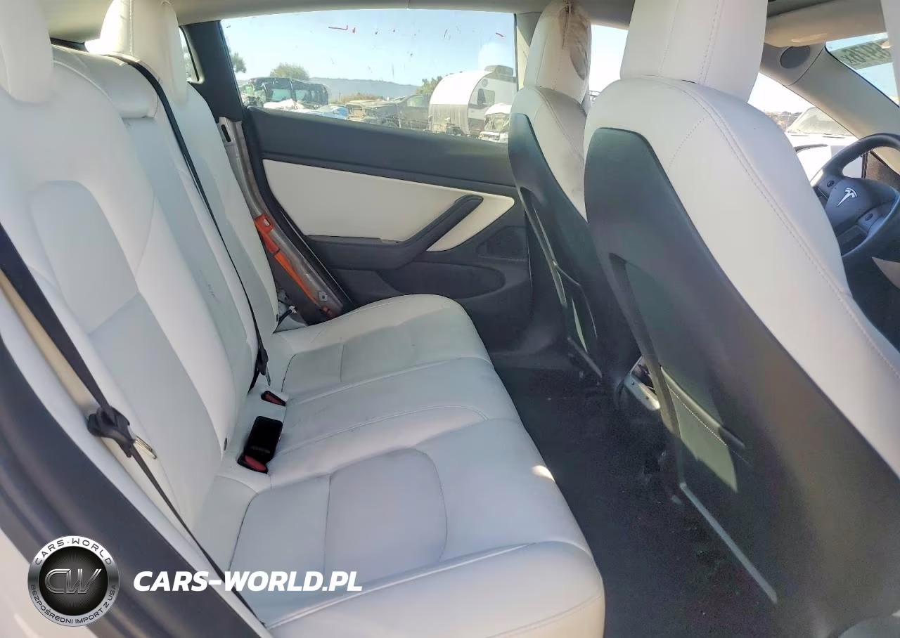 2020 Tesla Model 3 VIN:5YJ3E1EA2LF615256 - 10