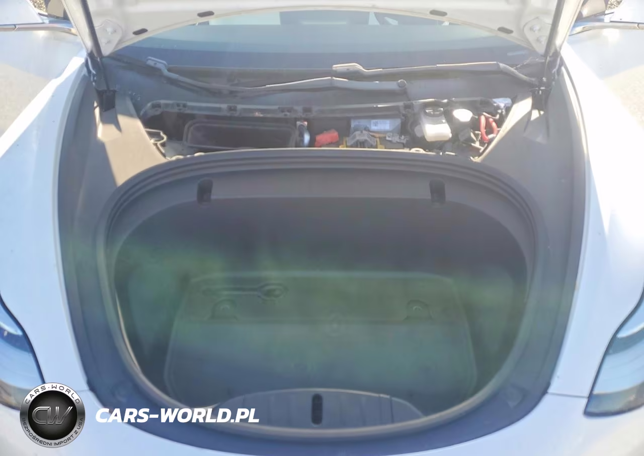 2020 Tesla Model 3 VIN:5YJ3E1EA2LF615256 - 11