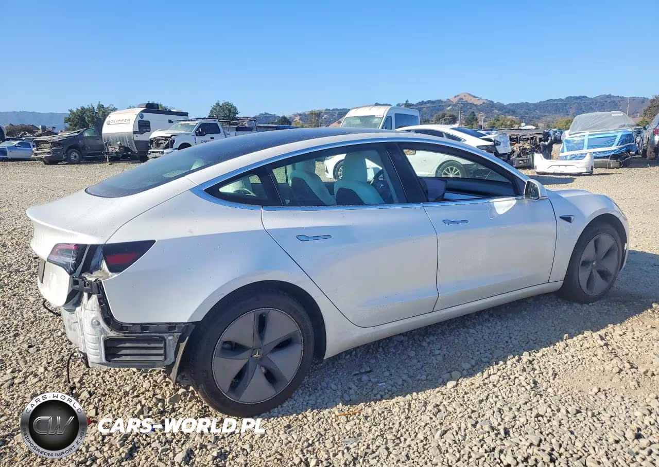 2020 Tesla Model 3 VIN:5YJ3E1EA2LF615256 - 3