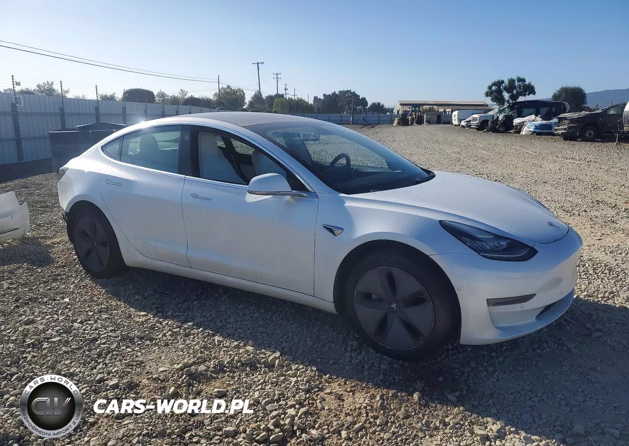 2020 Tesla Model 3 VIN:5YJ3E1EA2LF615256 - 4