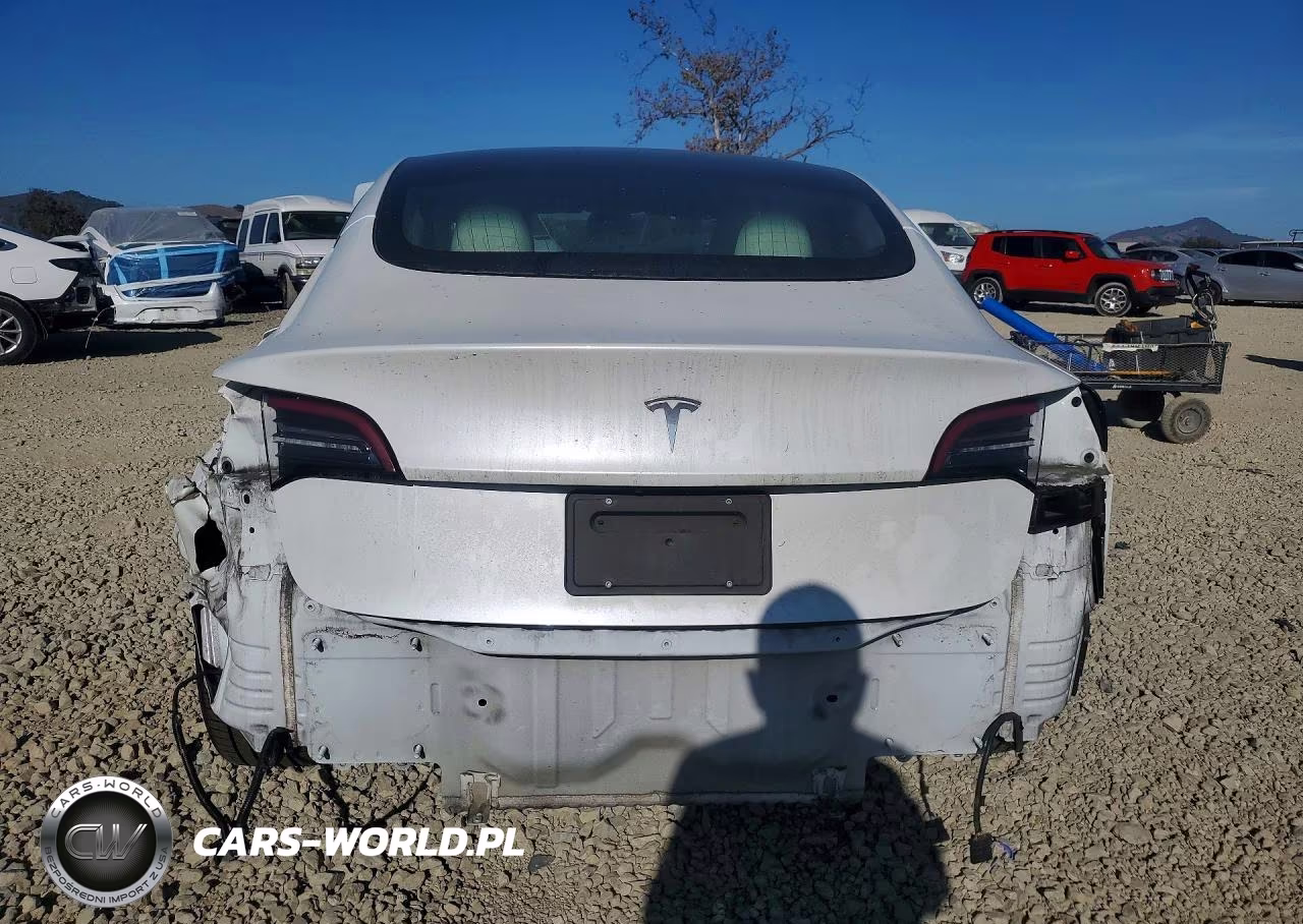 2020 Tesla Model 3 VIN:5YJ3E1EA2LF615256 - 6