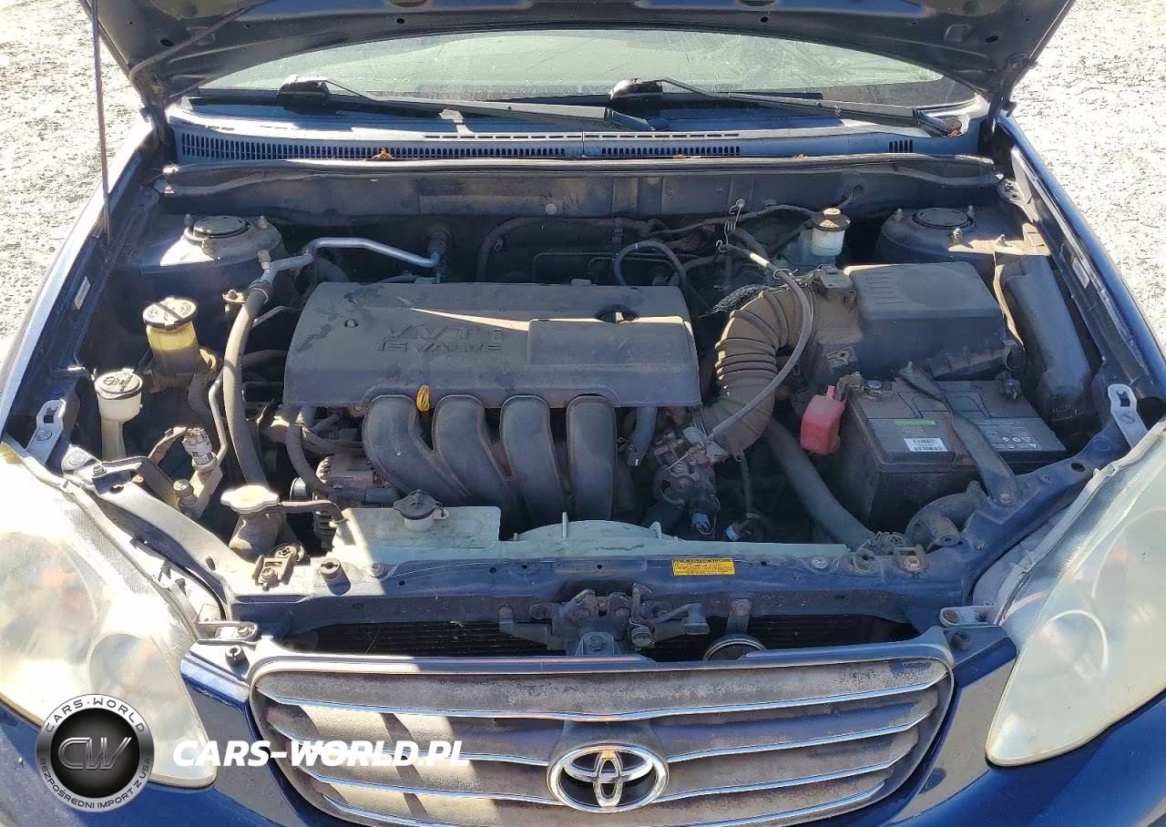 2004 Toyota Corolla Ce VIN:JTDBR32E240052955 - 11