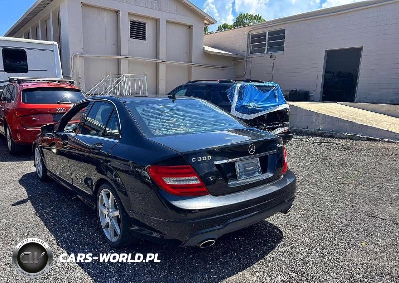 2013 Mercedes-Benz C 300 4Matic VIN:WDDGF8ABXDR259999 - 3