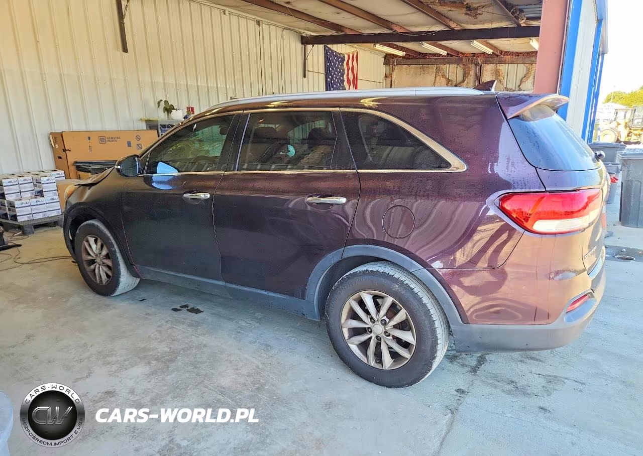 2016 Kia Sorento Lx VIN:5XYPG4A30GG058446 - 2