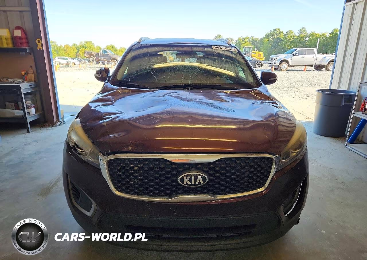 2016 Kia Sorento Lx VIN:5XYPG4A30GG058446 - 5