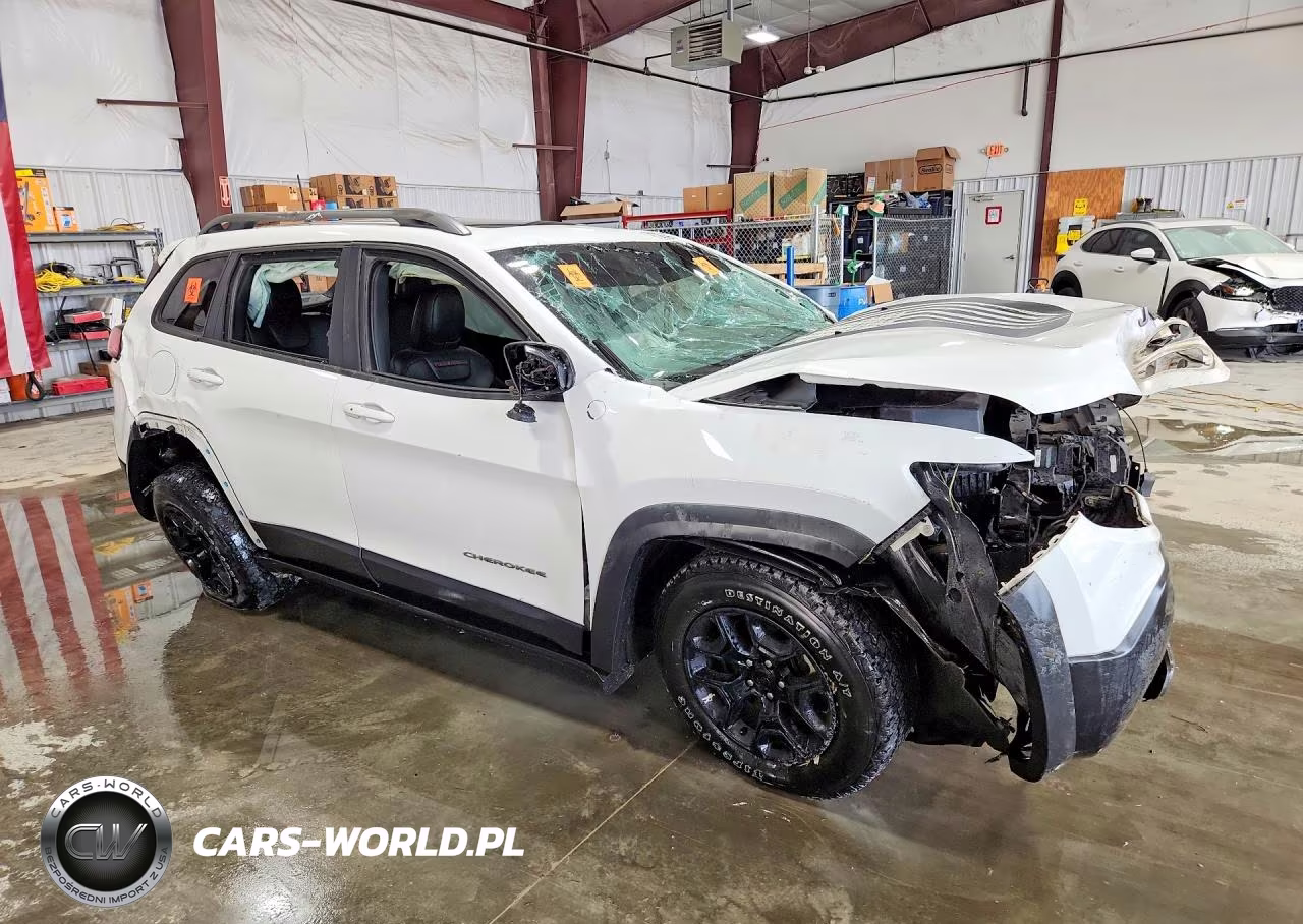 2021 Jeep Cherokee Trailhawk VIN:1C4PJMBX1MD177927 - 4