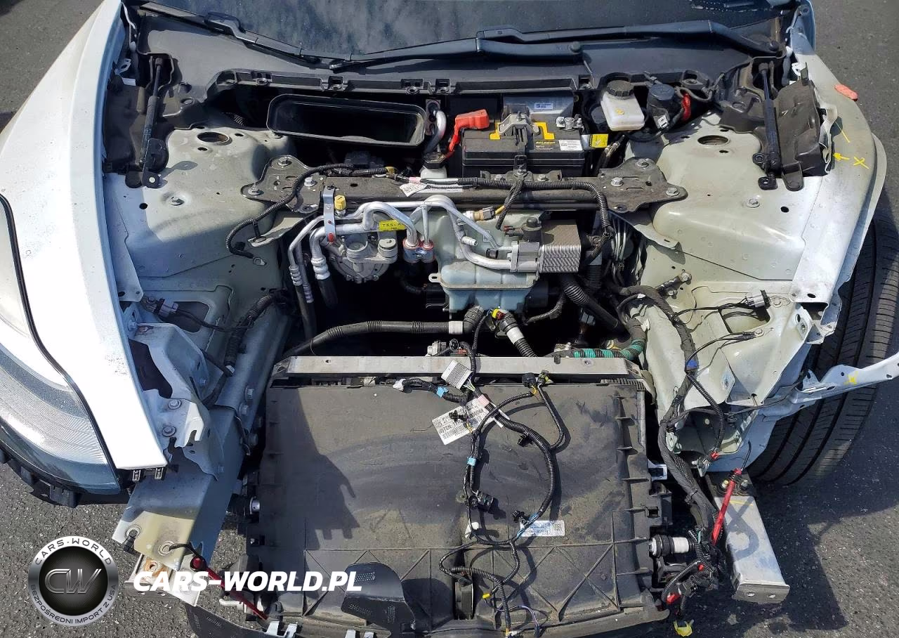 2020 Tesla Model 3 VIN:5YJ3E1EA6LF804539 - 11