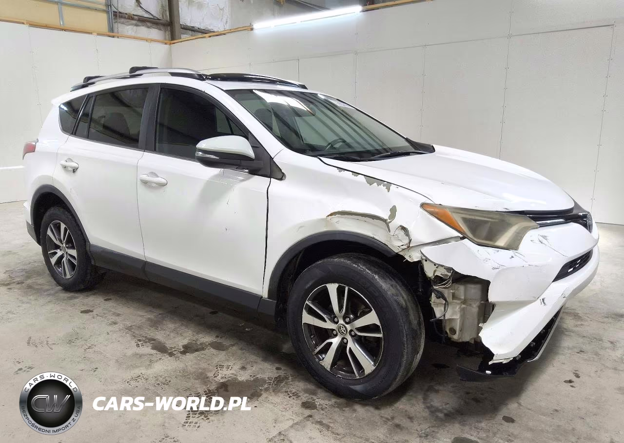 2016 Toyota Rav4 Xle VIN:2T3RFREVXGW502261 - 4