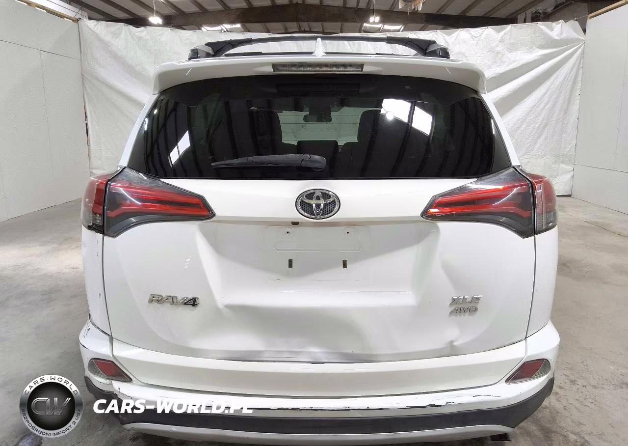 2016 Toyota Rav4 Xle VIN:2T3RFREVXGW502261 - 6