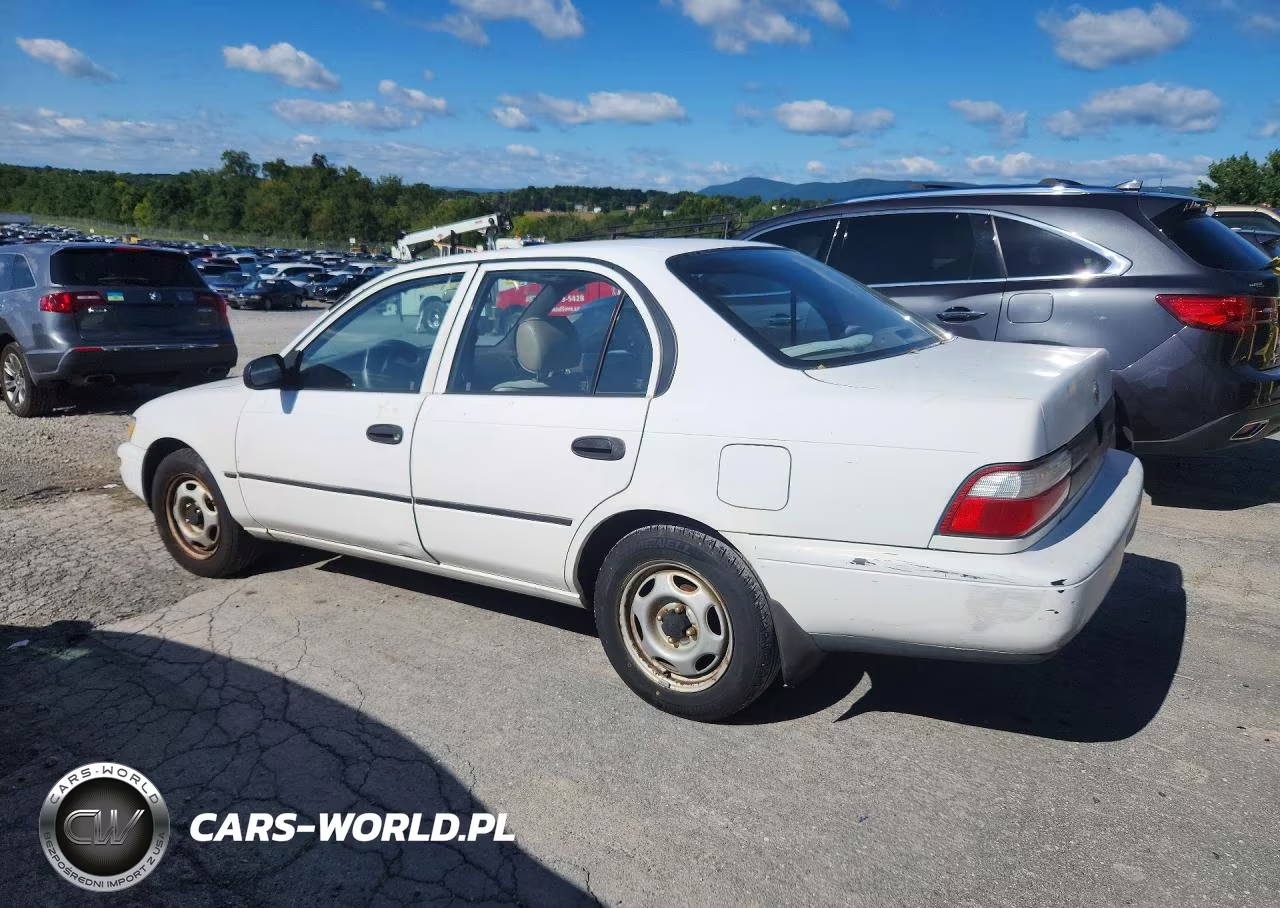 1996 Toyota Corolla Base VIN:1NXBA02E5TZ436916 - 2