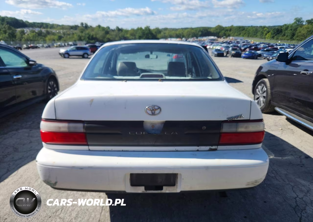 1996 Toyota Corolla Base VIN:1NXBA02E5TZ436916 - 6