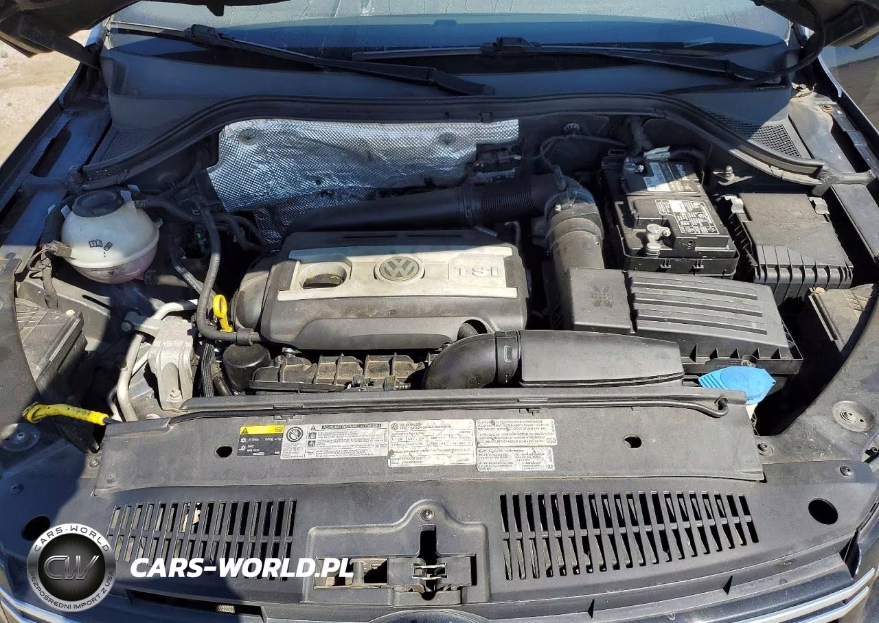 2014 Volkswagen Tiguan S VIN:WVGBV3AX3EW068476 - 11