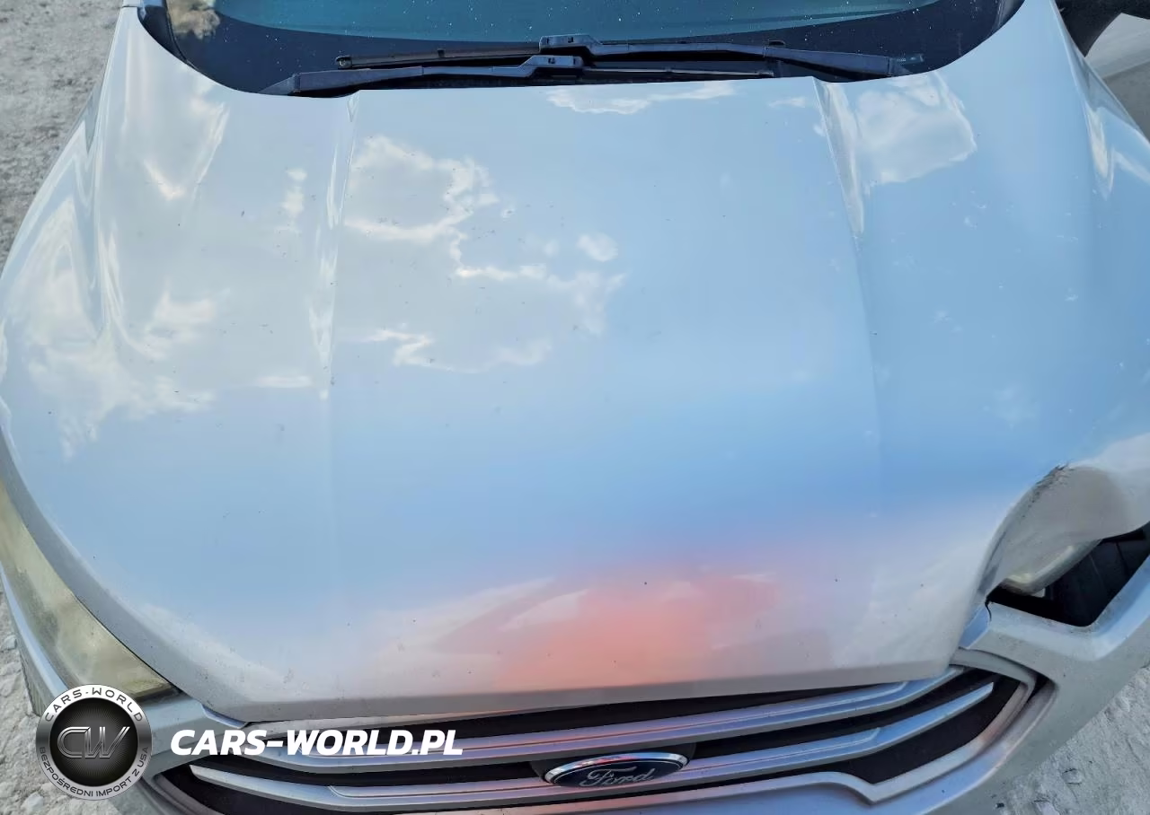 2019 Ford Ecosport Se VIN:MAJ3S2GE1KC271225 - 11