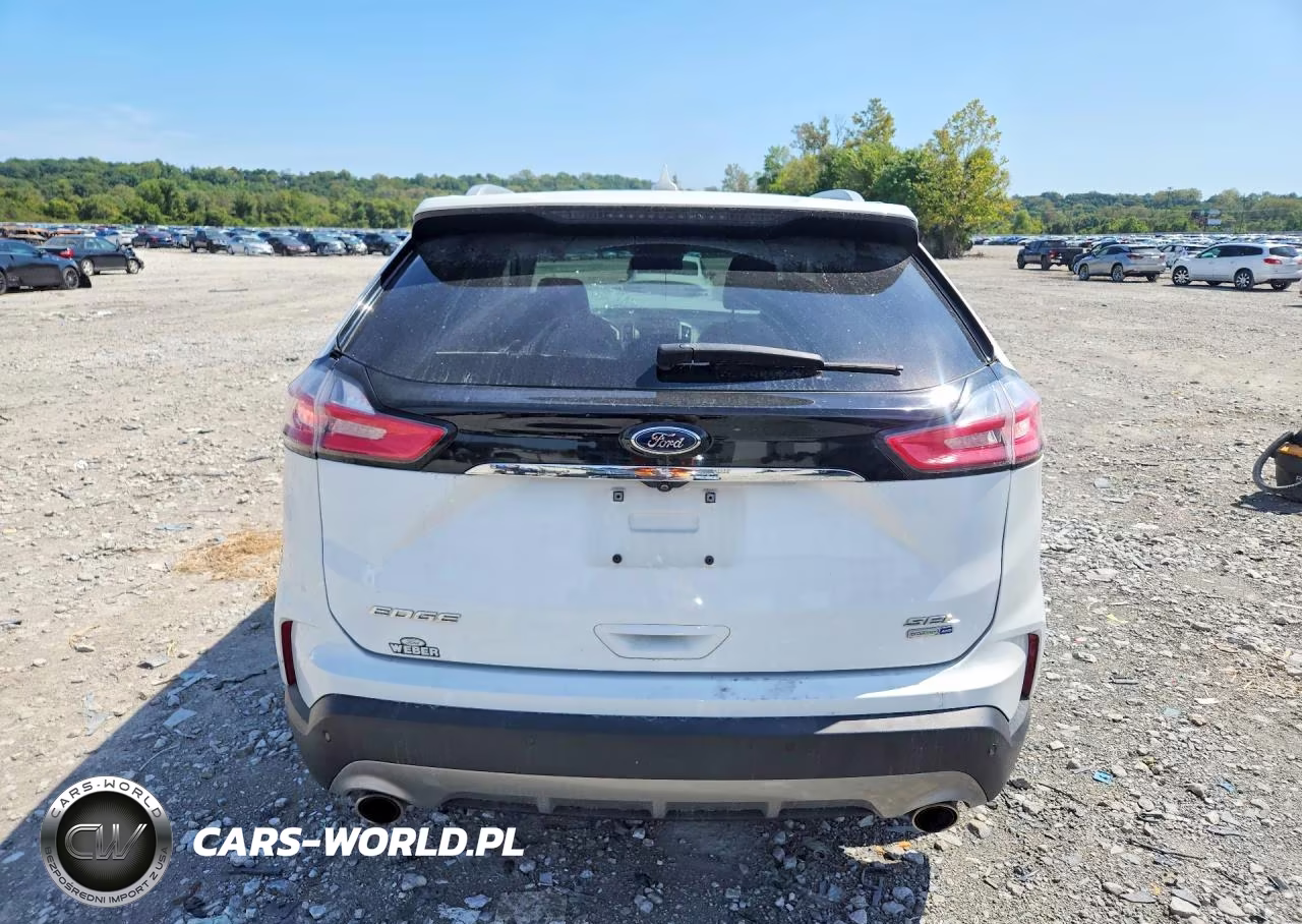 2020 Ford Edge Sel VIN:2FMPK4J9XLBA08490 - 6
